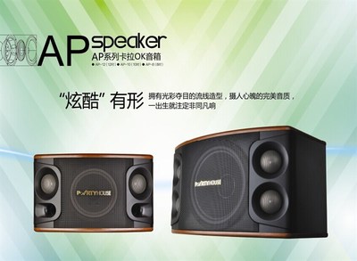 派对屋AP系列卡拉OK音箱_聊城音响_聊城雷石点歌系统_聊城宝迪奥音响_聊城市汇声音响设备
