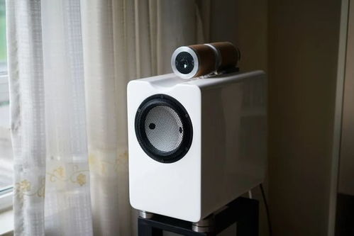 黄雷的2020年度精品音响器材与唱片推荐