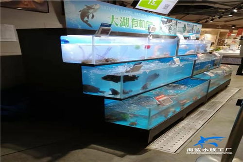 株洲海鲜缸定做价格 定做 制作 设计 安装