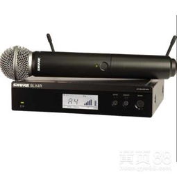 【昌平区销售shure/舒尔blx24r/sm58专业无线一拖一手持话筒参数】-