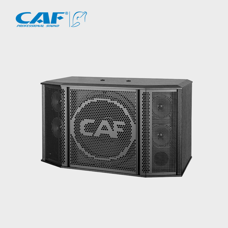 CAF卡福会议音箱专业KTV音响10寸卡包音箱家庭KTV音响