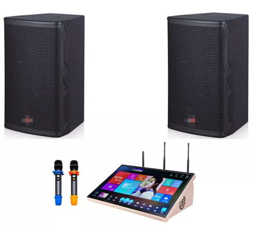 预算6千到1万的家庭KTV音响设备选购指南